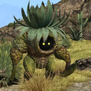 mad_maguey